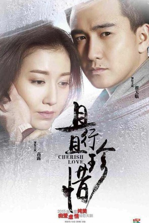电视剧《且行且珍惜》（2015中国大陆）--高清4K/1080P迅雷BT资源下载