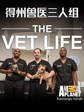 电视剧《德州兽医三人组 第一季  The Vet Life》（2016美国）--高清4K/1080P迅雷BT资源下载