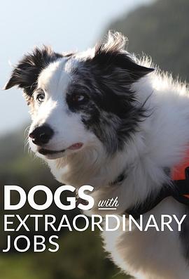 电视剧《狗狗的非凡工作 第一季  Dogs with Extraordinary Jobs》（2019英国）--高清4K/1080P迅雷BT资源下载