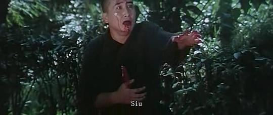 电影《火烧少林寺  火燒少林寺》（1976中国台湾 / 中国香港）--高清4K/1080P迅雷BT资源下载