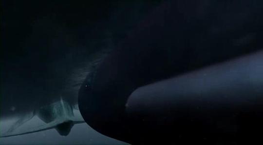 电影《白鲸记  2010: Moby Dick》（2010美国）--高清4K/1080P迅雷BT资源下载