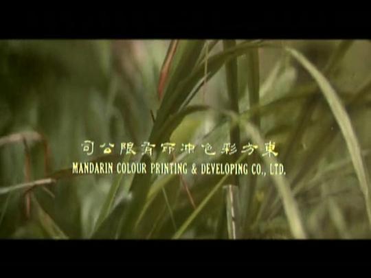 电影《一枝光棍走天涯》（1976中国香港）--高清4K/1080P迅雷BT资源下载