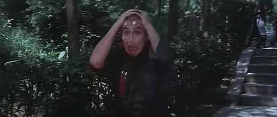 电影《火烧少林寺  火燒少林寺》（1976中国台湾 / 中国香港）--高清4K/1080P迅雷BT资源下载