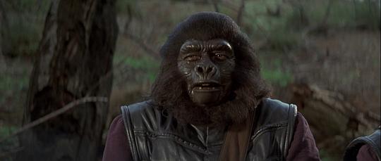 电影《决战猩球  Battle for the Planet of the Apes》（1973美国）--高清4K/1080P迅雷BT资源下载
