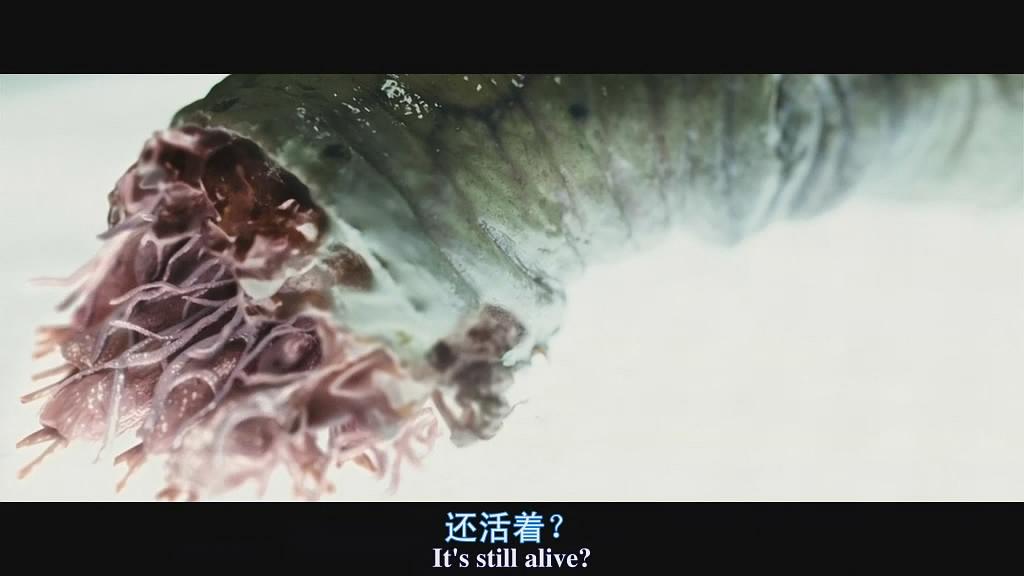 电影《魔窟  The Cave》（2005美国 / 德国 / 罗马尼亚）--高清4K/1080P迅雷BT资源下载