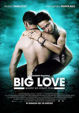 电影《大爱  Big Love》（2012波兰）--高清4K/1080P迅雷BT资源下载