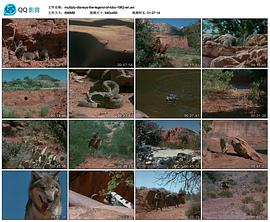 电影《狼的传说》（1962美国）--高清4K/1080P迅雷BT资源下载