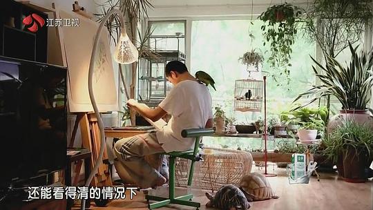 电视综艺《最强大脑 第二季》（2015中国大陆）--高清4K/1080P迅雷BT资源下载