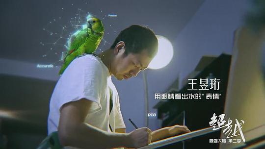 电视综艺《最强大脑 第二季》（2015中国大陆）--高清4K/1080P迅雷BT资源下载