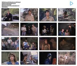 电影《纪念碑谷大屠杀  Memorial Valley Massacre》（1989美国）--高清4K/1080P迅雷BT资源下载