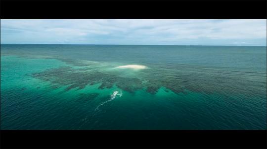 电影《地平线  Horizon Line》（2020瑞典 / 美国）--高清4K/1080P迅雷BT资源下载