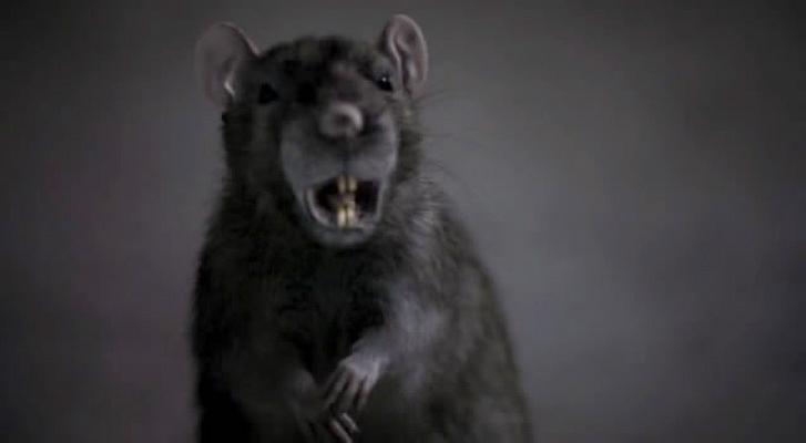 电影《灭鼠大战  The Rats》（2002美国）--高清4K/1080P迅雷BT资源下载