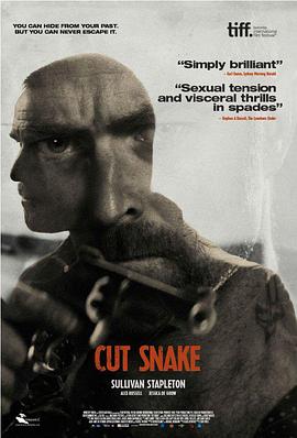 电影《斩蛇  Cut Snake》（2015澳大利亚）--高清4K/1080P迅雷BT资源下载