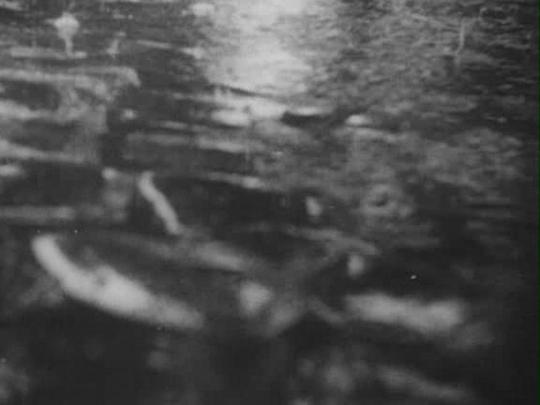 电影短片《雨  Regen》（1929荷兰）--高清4K/1080P迅雷BT资源下载