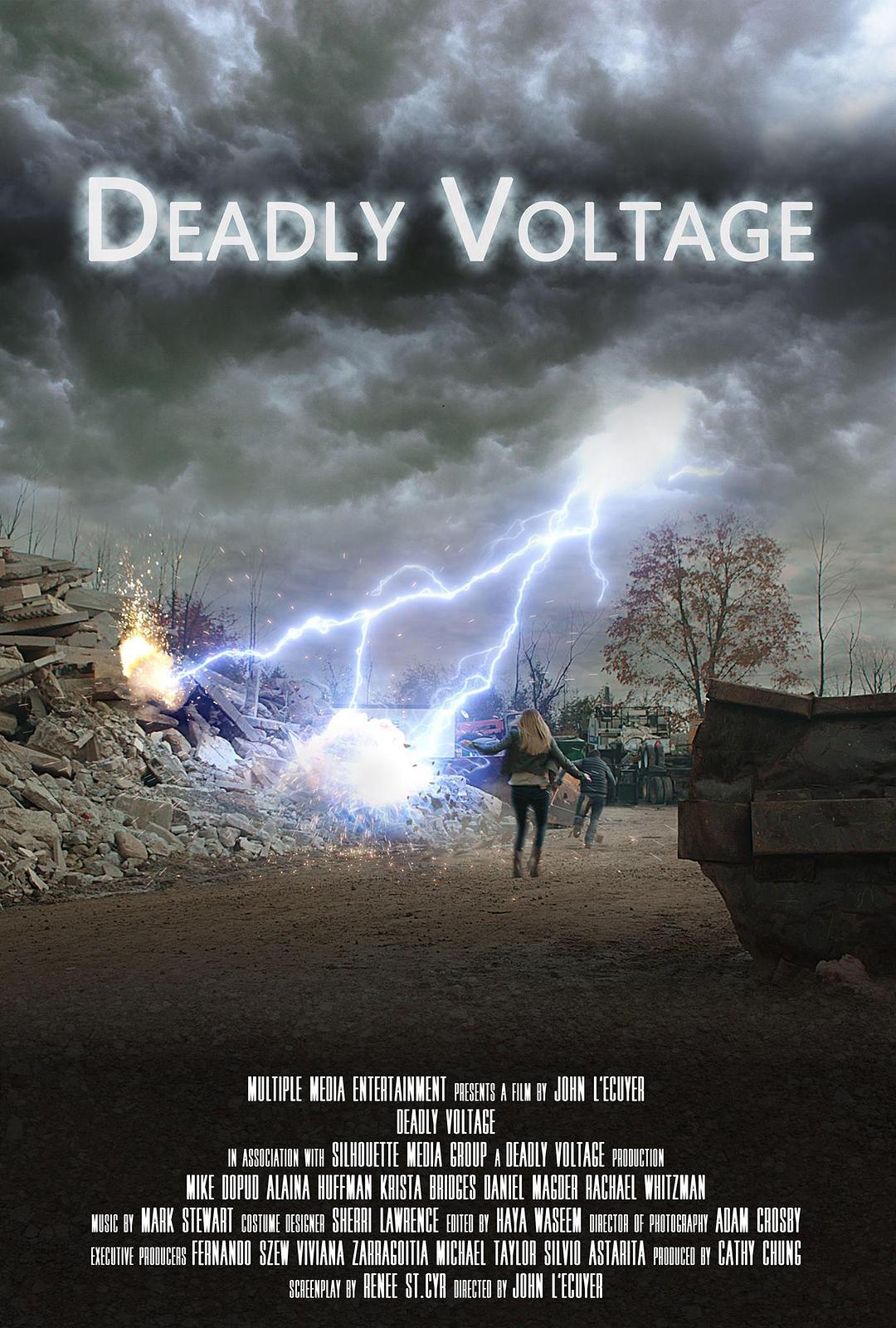 电影《死亡电压  Deadly Voltage》（2016加拿大）--高清4K/1080P迅雷BT资源下载