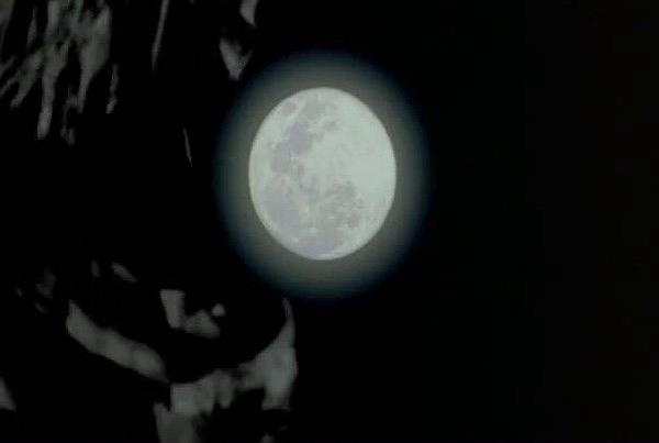 电影《蓝蝴蝶  The Blue Butterfly》（2004加拿大 / 美国 / 英国）--高清4K/1080P迅雷BT资源下载