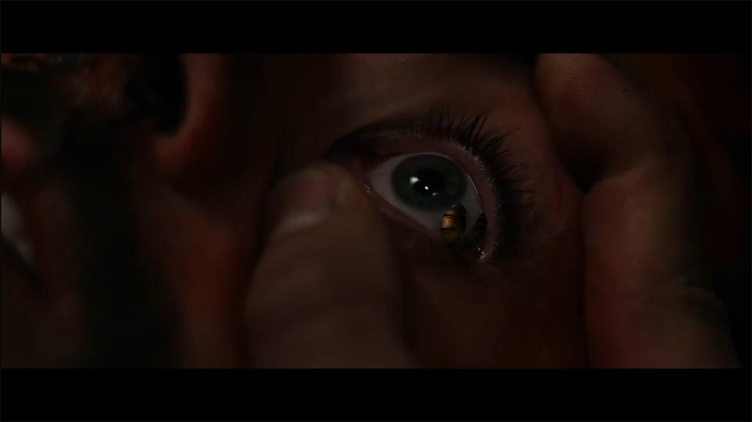 电影《挑战  The Dare》（2017保加利亚 / 美国 / 英国）--高清4K/1080P迅雷BT资源下载