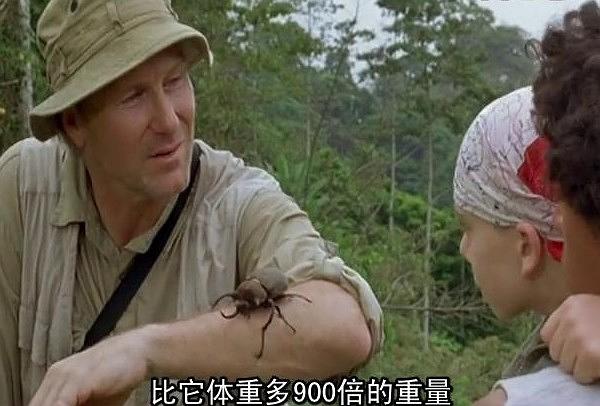 电影《蓝蝴蝶  The Blue Butterfly》（2004加拿大 / 美国 / 英国）--高清4K/1080P迅雷BT资源下载