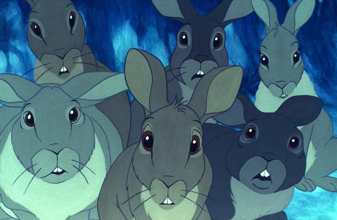 电影《沃特希普高地  Watership Down》（1978英国）--高清4K/1080P迅雷BT资源下载
