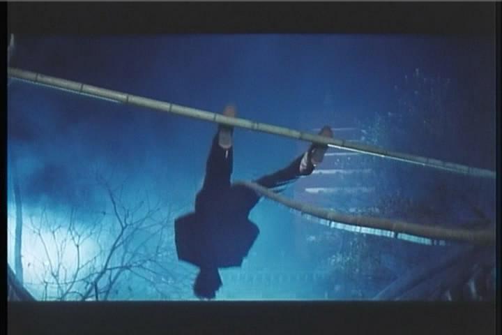电影《新报仇  新報仇》（1994中国大陆 / 中国香港）--高清4K/1080P迅雷BT资源下载