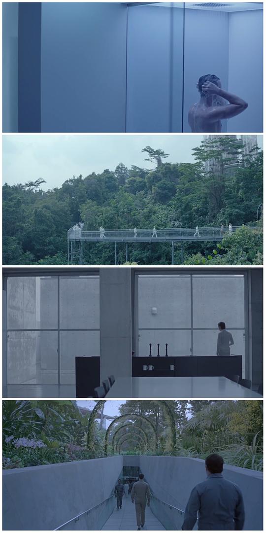 电影《同等族群  Equals》（2015美国）--高清4K/1080P迅雷BT资源下载