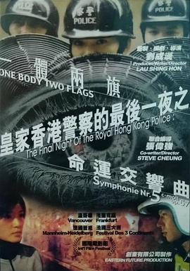 电影《皇家香港警察的最后一夜  皇家香港警察的最後一夜》（2002中国香港）--高清4K/1080P迅雷BT资源下载
