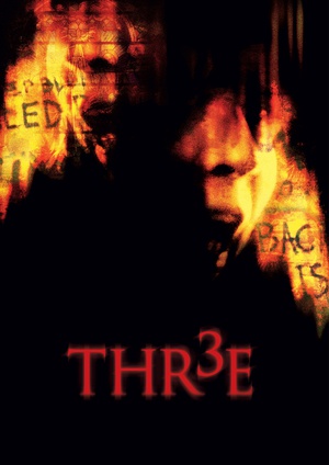 电影《猜谜杀手  Thr3e》（2006波兰 / 美国）--高清4K/1080P迅雷BT资源下载