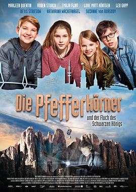 电影《黑暗的诅咒  Die Pfefferkörner und der Fluch des Schwarzen Königs》（2017德国）--高清4K/1080P迅雷BT资源下载