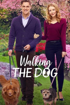 电影《遛狗  Walking the Dog》（2017美国）--高清4K/1080P迅雷BT资源下载