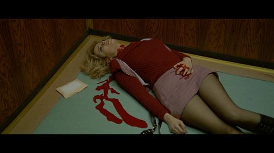 电影《滴血碧玉肌  Perché quelle strane gocce di sangue sul corpo di Jennifer?》（1972意大利）--高清4K/1080P迅雷BT资源下载