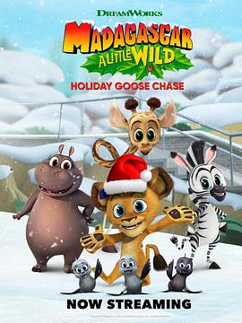 动漫《Madagascar: A Little Wild – Holiday Goose Chase》（2021美国）--高清4K/1080P迅雷BT资源下载