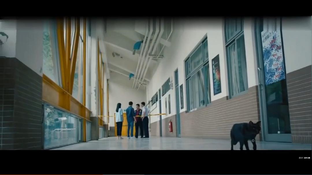电影《玩命贴图  玩命貼圖》（2019中国台湾）--高清4K/1080P迅雷BT资源下载