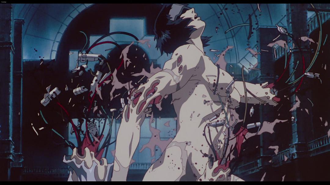动漫《攻壳机动队 攻殻機動隊》(1995日本)--高清4K/1080P迅雷BT资源下载 动漫《攻壳机动队 攻殻機動隊》(1995日本)--高清4K/1080P迅雷BT资源下载
