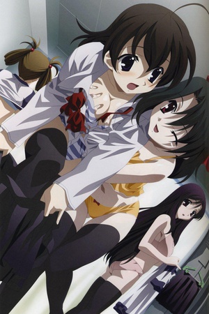 动漫《School Days 6集版  School Days ONA》（2004日本）--高清4K/1080P迅雷BT资源下载