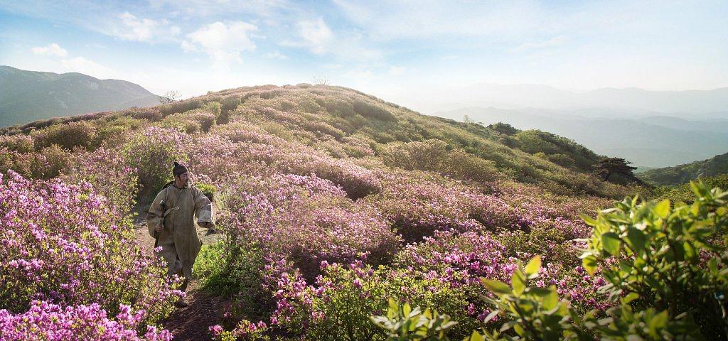 电影《古山子：大东舆地图  고산자, 대동여지도》（2016韩国）--高清4K/1080P迅雷BT资源下载