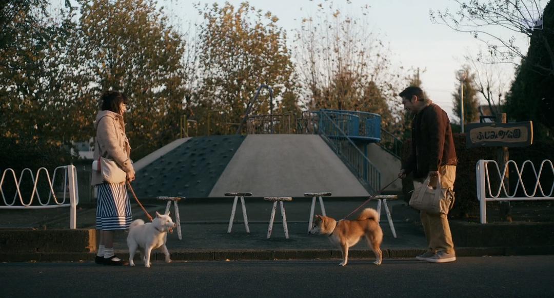 电影《柴犬公园  柴公園》（2019日本）--高清4K/1080P迅雷BT资源下载