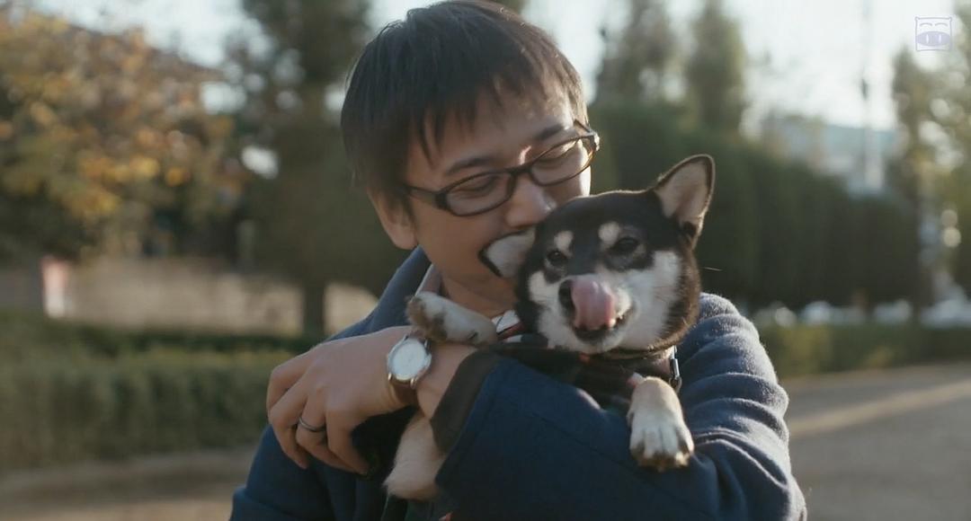 电影《柴犬公园  柴公園》（2019日本）--高清4K/1080P迅雷BT资源下载