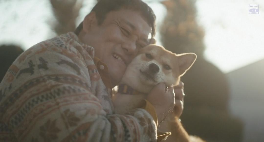 电影《柴犬公园  柴公園》（2019日本）--高清4K/1080P迅雷BT资源下载