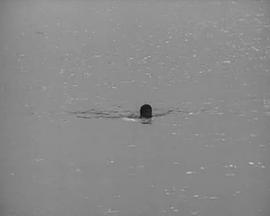 电影《德彪西的电影》（1965英国）--高清4K/1080P迅雷BT资源下载