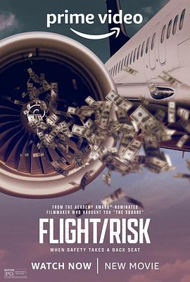 纪录片《生死航班  Flight/Risk》（2022美国）--高清4K/1080P迅雷BT资源下载