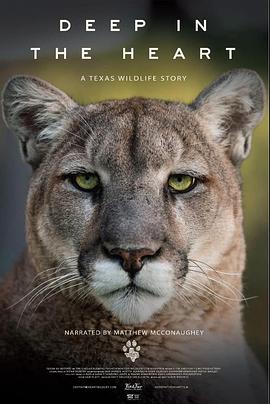 纪录片《Deep in the Heart: A Texas Wildlife Story》（2022美国）--高清4K/1080P迅雷BT资源下载