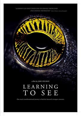 纪录片《Learning to See: The World of Insects》（2016哥伦比亚 / 厄瓜多尔 / 秘鲁 / 美国）--高清4K/1080P迅雷BT资源下载