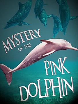 纪录片《粉色海豚之谜  The Mystery of the Pink Dolphin》（2015法国 / 巴西）--高清4K/1080P迅雷BT资源下载