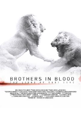 纪录片《狮王之路  Brothers in Blood: The Lions of Sabi Sand》（2015南非 South Africa）--高清4K/1080P迅雷BT资源下载