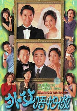 电视剧《外父唔怕做》（1998中国香港）--高清4K/1080P迅雷BT资源下载