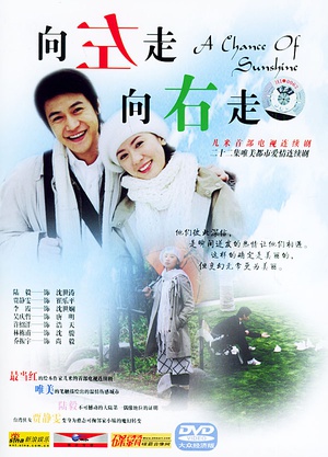 电视剧《向左走，向右走》（2004中国大陆）--高清4K/1080P迅雷BT资源下载