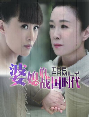 电视剧《婆媳的战国时代》（2014中国大陆）--高清4K/1080P迅雷BT资源下载