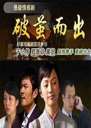 电视剧《破茧而出》（2008中国大陆）--高清4K/1080P迅雷BT资源下载