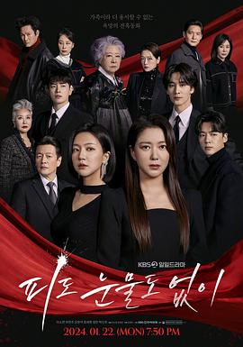 电视剧《无血无泪  피도 눈물도 없이》（2024韩国）--高清4K/1080P迅雷BT资源下载