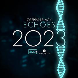 电视剧《黑色孤儿：回响  Orphan Black: Echoes》（2023美国）--高清4K/1080P迅雷BT资源下载